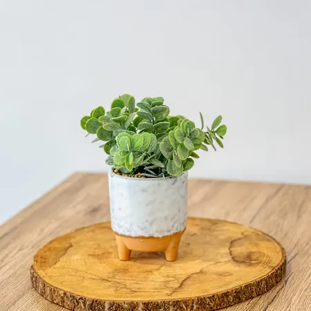 Apartment Savonnerie Cathedrale 2 Avec Ascenseur Proche Cathedrale ! *