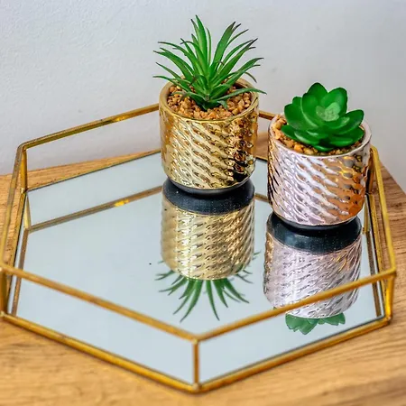 Savonnerie Cathedrale 2 Avec Ascenseur Proche Cathedrale !