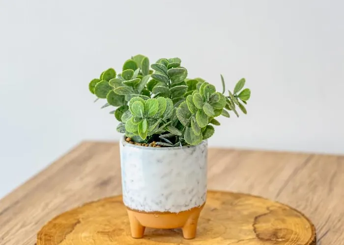 Apartment Savonnerie Cathedrale 2 Avec Ascenseur Proche Cathedrale ! *