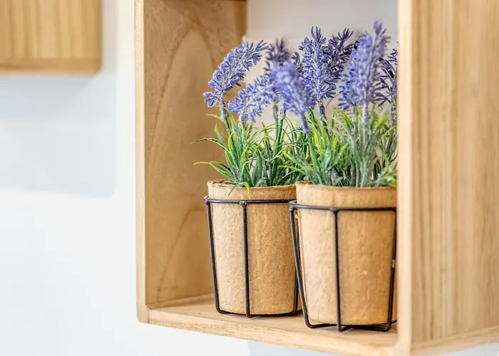 Savonnerie Cathedrale 2 Avec Ascenseur Proche Cathedrale ! Apartment